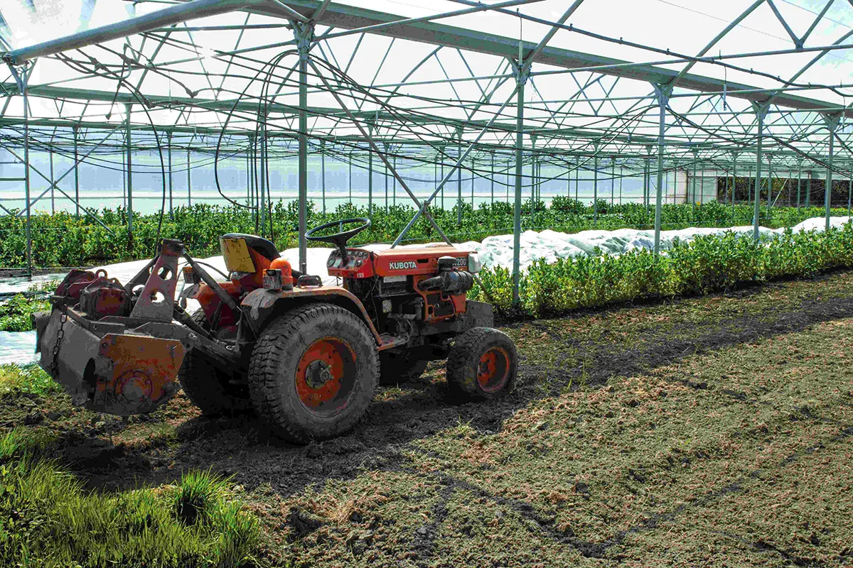 BIAU POTAGER