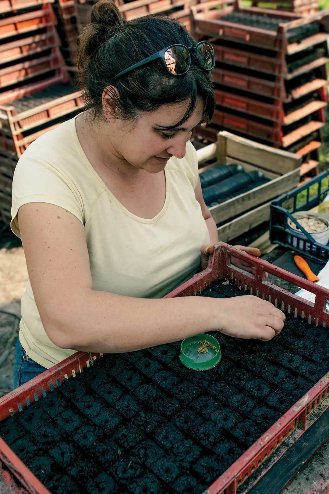 BIAU POTAGER